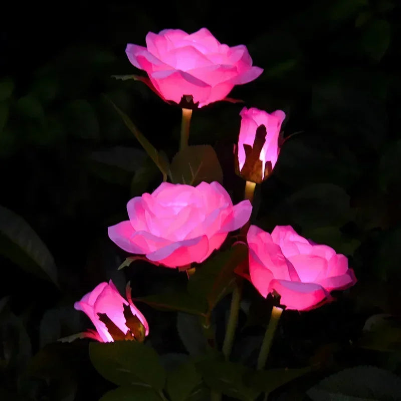 Solar Rose Garden Lights - LED Outdoor Decor